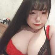 ヒメ日記 2025/04/08 07:32 投稿 みほ 新宿プチドール