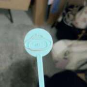 ヒメ日記 2025/07/08 10:10 投稿 みほ 新宿プチドール