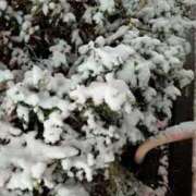 ヒメ日記 2026/02/08 09:44 投稿 みほ 新宿プチドール