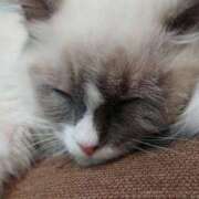 ヒメ日記 2026/03/06 14:49 投稿 みほ 新宿プチドール