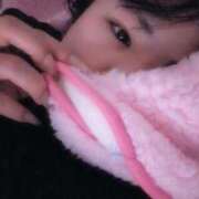 ヒメ日記 2026/03/24 13:40 投稿 みほ 新宿プチドール