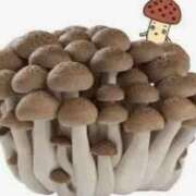 ヒメ日記 2025/04/02 13:39 投稿 らん☆SSS級美少女デビュー！！ Ribbon 1st