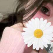 ヒメ日記 2025/04/23 20:10 投稿 らん☆SSS級美少女デビュー！！ Ribbon 1st