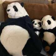 ヒメ日記 2025/05/02 13:51 投稿 桜花 久喜鷲宮ちゃんこ