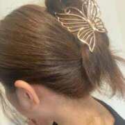 ヒメ日記 2025/05/19 03:51 投稿 桜花 久喜鷲宮ちゃんこ