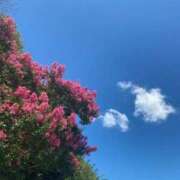 ヒメ日記 2025/09/14 19:51 投稿 桜花 久喜鷲宮ちゃんこ