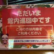 ヒメ日記 2025/11/30 18:02 投稿 桜花 久喜鷲宮ちゃんこ