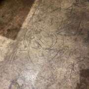 ヒメ日記 2026/03/27 19:11 投稿 桜花 久喜鷲宮ちゃんこ