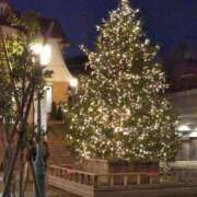 ヒメ日記 2025/12/20 10:22 投稿 真理子 出会い系人妻ネットワーク 渋谷〜目黒編