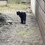 ヒメ日記 2025/08/02 18:45 投稿 ラナ 性の極み 技の伝道師 ver. 匠