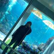 ヒメ日記 2025/11/30 14:59 投稿 ラナ 性の極み 技の伝道師 ver. 匠