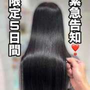 ヒメ日記 2025/02/09 22:19 投稿 逢恋【あこ】 Venti大阪