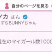 ヒメ日記 2025/09/17 12:20 投稿 ナノカ いたずらバニーちゃん