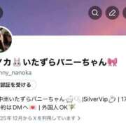 ヒメ日記 2025/12/03 19:33 投稿 ナノカ いたずらバニーちゃん