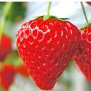 ヒメ日記 2025/02/08 15:00 投稿 真泉　るい OLセレクション宇都宮店