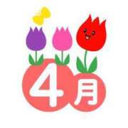 ヒメ日記 2025/04/16 18:30 投稿 じゅり 熊本しこたまクリニック