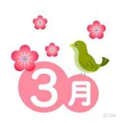 ヒメ日記 2026/03/11 12:43 投稿 じゅり 熊本しこたまクリニック（アクセスグループ）