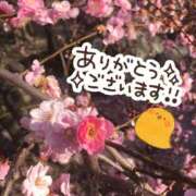 ヒメ日記 2025/01/03 11:05 投稿 ゆめ エレガンス(広島)