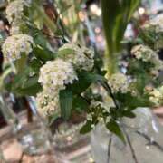 ヒメ日記 2025/03/11 12:38 投稿 ゆめ エレガンス(広島)