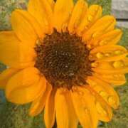 ヒメ日記 2025/07/17 17:08 投稿 ゆめ エレガンス(広島)