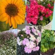 ヒメ日記 2025/07/19 12:09 投稿 ゆめ エレガンス(広島)