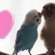 ヒメ日記 2025/08/31 19:08 投稿 ゆめ エレガンス(広島)