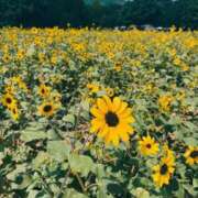 ヒメ日記 2025/09/02 18:08 投稿 ゆめ エレガンス(広島)