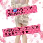 ヒメ日記 2025/09/14 08:19 投稿 ゆめ エレガンス(広島)