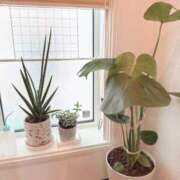 ヒメ日記 2025/10/27 12:29 投稿 ゆめ エレガンス(広島)