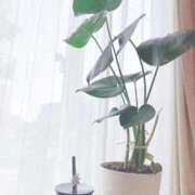 ヒメ日記 2025/11/18 15:48 投稿 ゆめ エレガンス(広島)