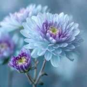 ヒメ日記 2025/12/11 10:08 投稿 ゆめ エレガンス(広島)