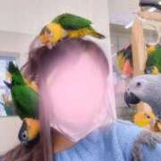 ヒメ日記 2026/02/08 13:58 投稿 ゆめ エレガンス(広島)