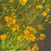 ヒメ日記 2026/05/20 12:28 投稿 ゆめ エレガンス(広島)