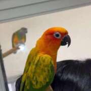 ヒメ日記 2026/05/29 07:28 投稿 ゆめ エレガンス(広島)