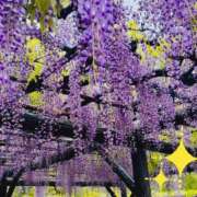 ヒメ日記 2025/04/23 21:45 投稿 松前 人妻最後の砦 小岩店