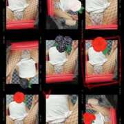 ヒメ日記 2024/12/22 19:27 投稿 艶島らむね 西川口風俗ド淫乱ンド