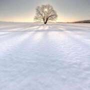 ヒメ日記 2025/01/08 10:24 投稿 箕輪 あかね 大奥 難波店