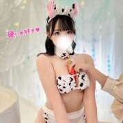 ヒメ日記 2025/09/03 01:00 投稿 みゆう ごほうびSPA池袋店