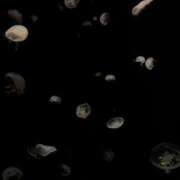 ヒメ日記 2025/02/20 21:07 投稿 ひろみ 東京エステコレクション 新橋・銀座