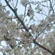 ヒメ日記 2025/03/28 19:33 投稿 ひろみ 東京エステコレクション 新橋・銀座