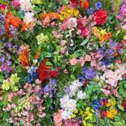 ヒメ日記 2025/04/10 20:46 投稿 ひろみ 東京エステコレクション 新橋・銀座