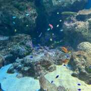 ヒメ日記 2025/09/05 19:21 投稿 ひろみ 東京エステコレクション 新橋・銀座