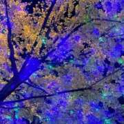 ヒメ日記 2025/09/25 22:48 投稿 ひろみ 東京エステコレクション 新橋・銀座