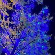 ヒメ日記 2026/02/01 20:07 投稿 ひろみ 東京エステコレクション 新橋・銀座