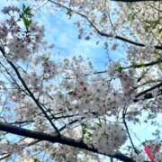 ヒメ日記 2026/04/04 16:05 投稿 ひろみ 東京エステコレクション 新橋・銀座