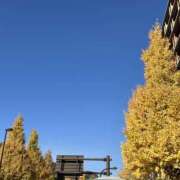 ヒメ日記 2024/12/07 13:42 投稿 まなみ 素人妻御奉仕倶楽部Hip's松戸店