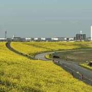 ヒメ日記 2025/03/22 09:51 投稿 まなみ 素人妻御奉仕倶楽部Hip's松戸店