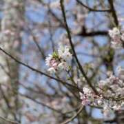 ヒメ日記 2025/03/30 22:38 投稿 まなみ 素人妻御奉仕倶楽部Hip's松戸店