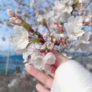 ヒメ日記 2025/04/05 21:28 投稿 まなみ 素人妻御奉仕倶楽部Hip's松戸店