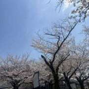 ヒメ日記 2025/04/11 10:58 投稿 まなみ 素人妻御奉仕倶楽部Hip's松戸店